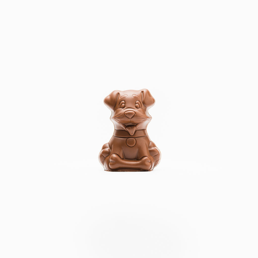 Chocolate Puppy