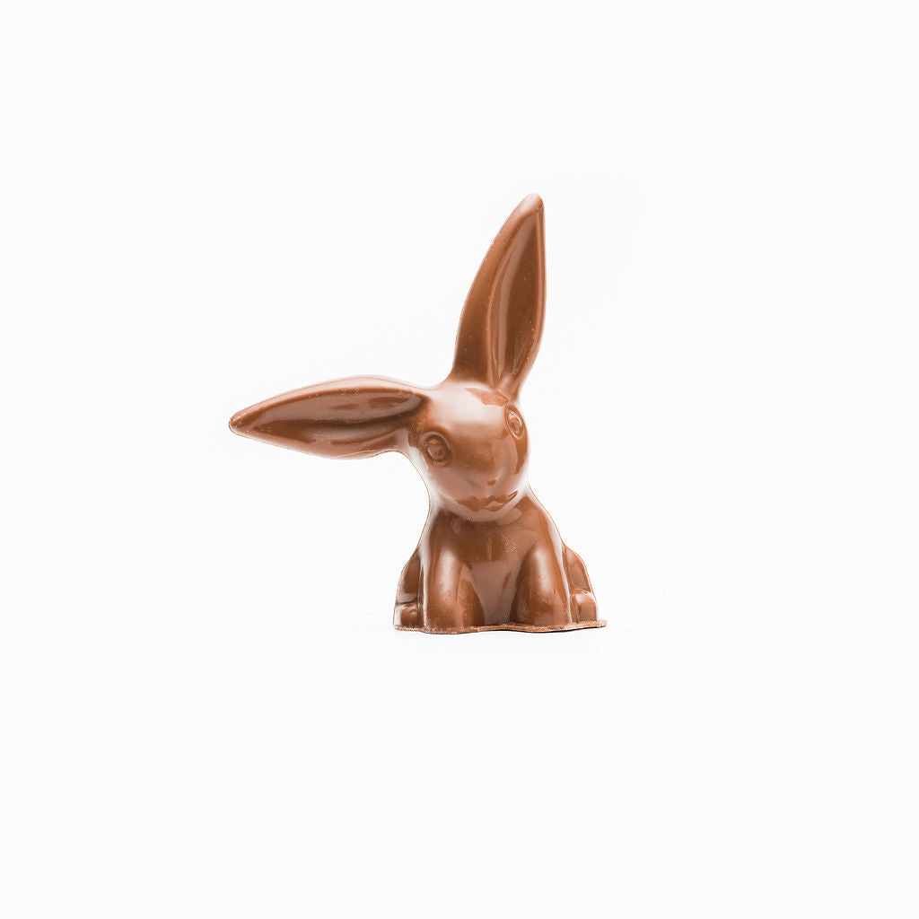 Cute Bunny