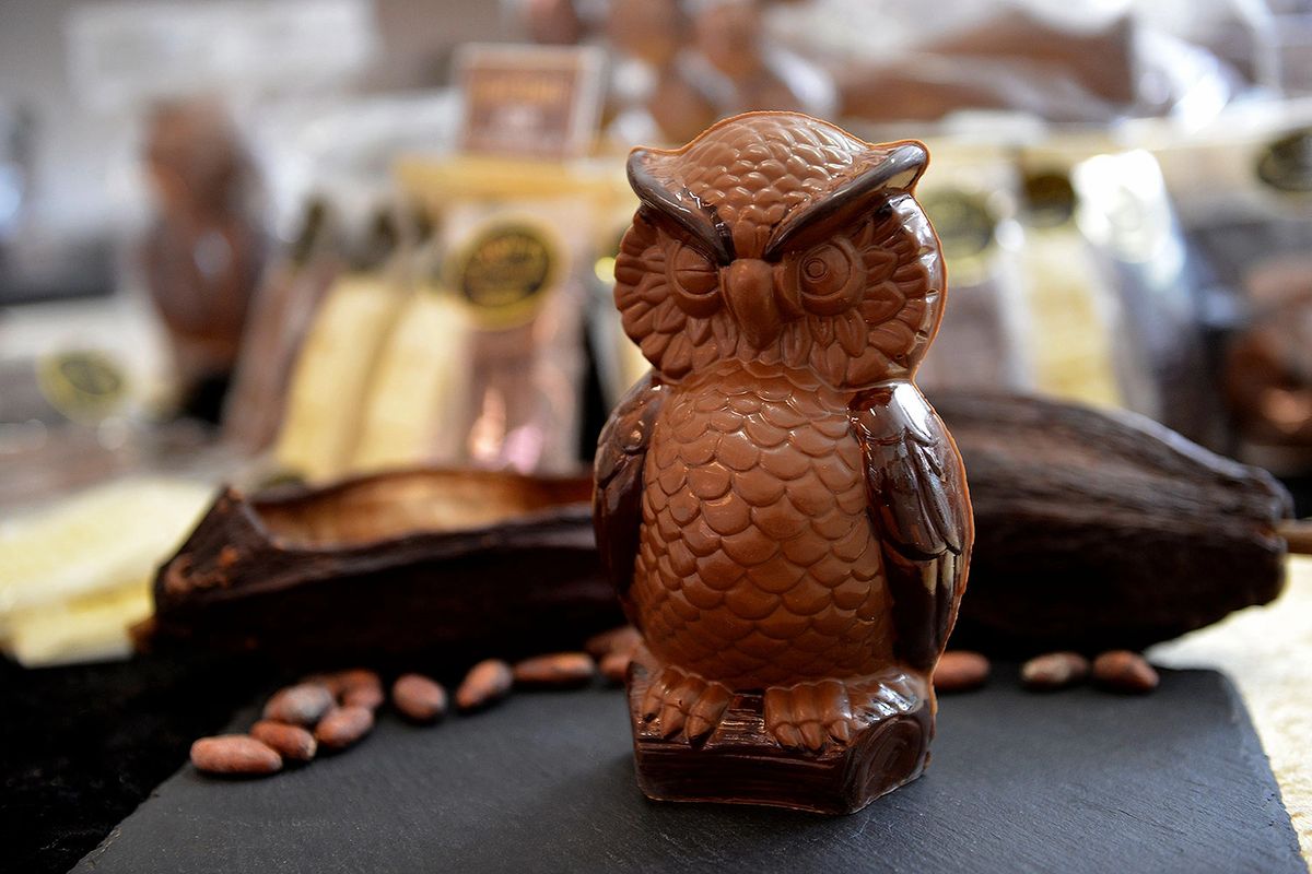 Owl