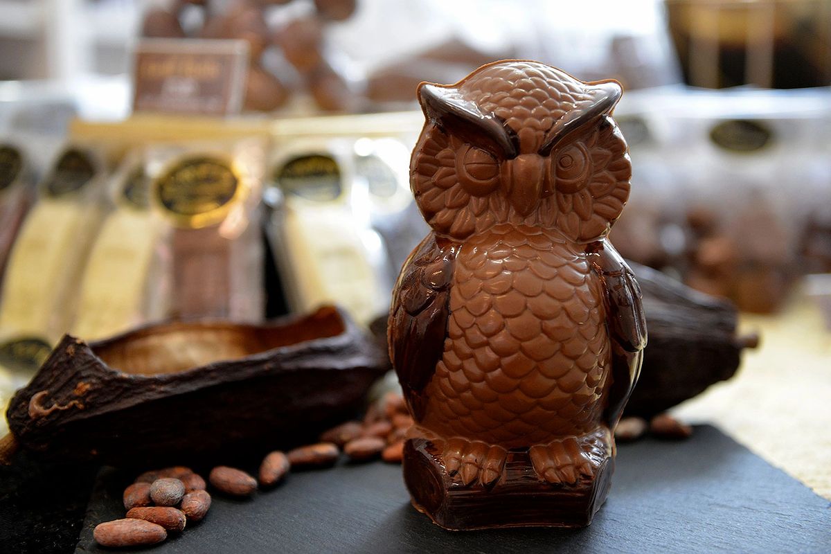Owl