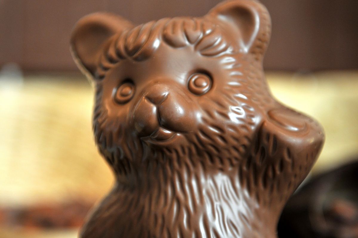 Teddy Bear